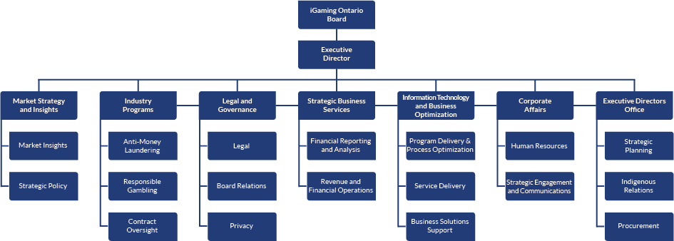 iGO Organizational Structure